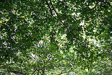 休闲多人社交聚会派对游戏《吸尘英雄》现已推出试玩Demo