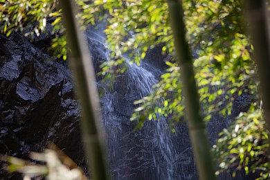 《WRAITH OPS》全新预告片发布硬核战术FPS开启首次测试